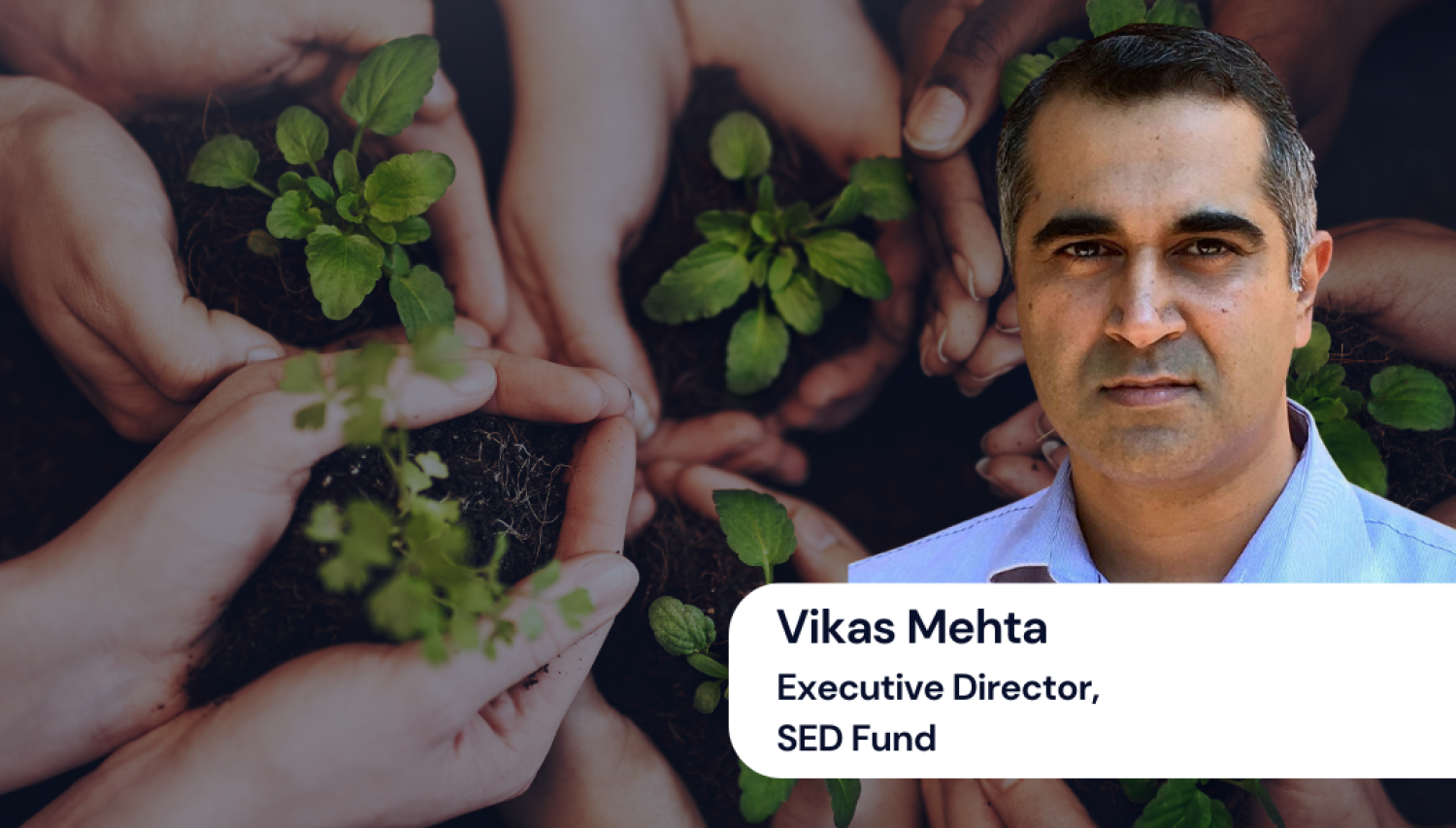 Photograph of Vikas Mehta - Executive Director, SED Fund